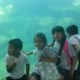 Our Visit to the Aquarium